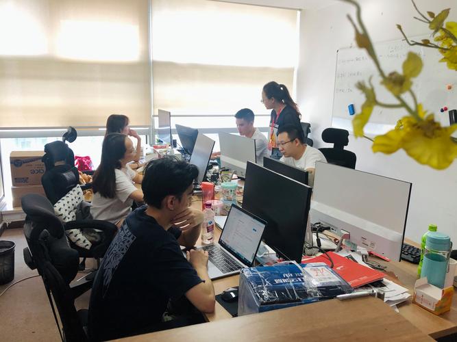 聚焦计算机与软件领域 张维公司经营范围与信息技术咨询实践